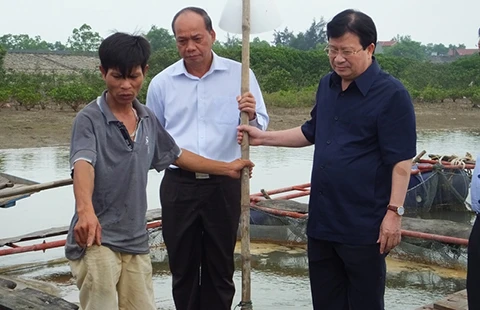 Thủ tướng chỉ đạo Bộ Công an thu thập chứng cứ vụ cá chết ảnh 1 Thủ tướng chỉ đạo Bộ Công an thu thập chứng cứ vụ cá chết ảnh 1