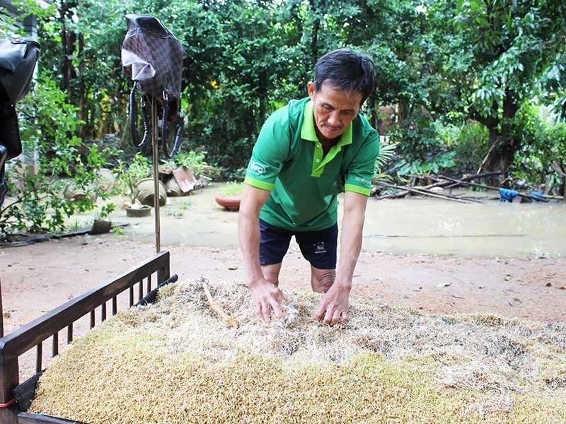 Sau lũ: Đói ăn, mất tết ảnh 4 Sau lũ: Đói ăn, mất tết ảnh 4