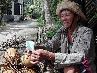 Cụ bà 60 kiếm sống trên ngọn dừa ảnh 2 Cụ bà 60 kiếm sống trên ngọn dừa ảnh 2