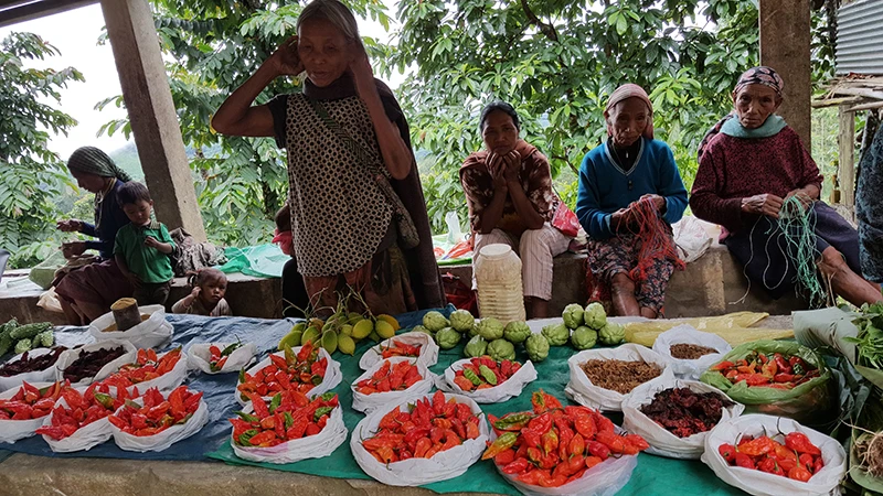 Những điều kỳ thú ở xứ săn đầu người ảnh 3 Những điều kỳ thú ở xứ săn đầu người ảnh 3