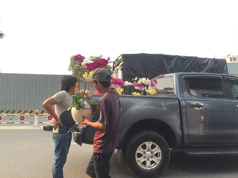 Hoa tết Việt Nam thắng đậm hoa Trung Quốc ảnh 3 Hoa tết Việt Nam thắng đậm hoa Trung Quốc ảnh 3