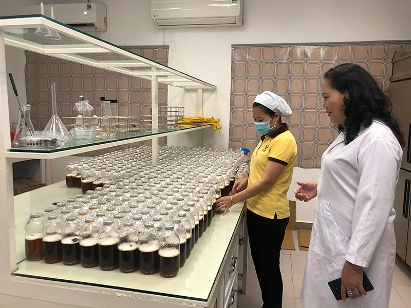 Nữ doanh nhân đưa đông trùng hạ thảo Việt ra thế giới ảnh 2 Nữ doanh nhân đưa đông trùng hạ thảo Việt ra thế giới ảnh 2