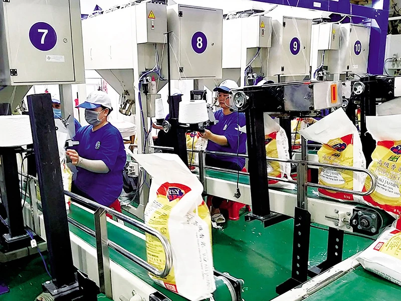 Việt Nam không thiếu gạo như nhiều người lo ngại ảnh 2 Việt Nam không thiếu gạo như nhiều người lo ngại ảnh 2