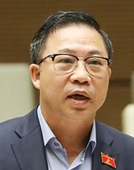 Cần nới lỏng tối đa cho doanh nghiệp phát triển ảnh 3