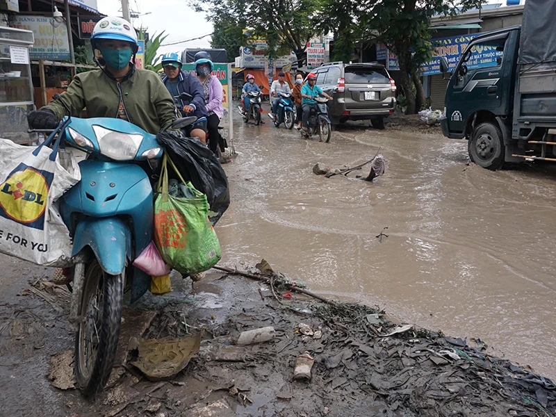 Phía Tây TP.HCM: Cần nhiều dự án kết nối liên vùng ảnh 2 Phía Tây TP.HCM: Cần nhiều dự án kết nối liên vùng ảnh 2