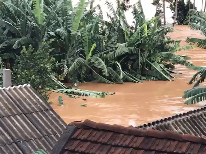 Quảng Nam, Quảng Ngãi tan hoang sau bão số 9 ảnh 4 Quảng Nam, Quảng Ngãi tan hoang sau bão số 9 ảnh 4