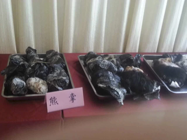 Bắc Kinh bắt nhóm buôn động vật hoang dã hàng triệu USD ảnh 2 Bắc Kinh bắt nhóm buôn động vật hoang dã hàng triệu USD ảnh 2