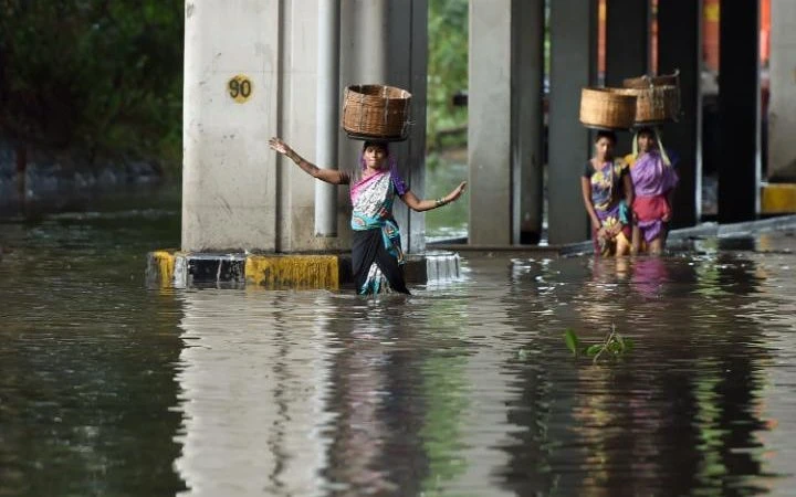 Người đi bộ đội giỏ trên đầu khi lội qua đường ngập lụt sau cơn mưa giông lớn ở Mumbai. 
