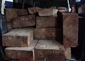 CSGT truy đuổi xe chở gỗ lậu như phim hành động