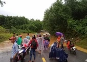 Quảng Ngãi: 1 người mất tích, 12 người bị thương do bão số 5