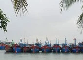 Phú Yên gọi điện đến từng nhà để sơ tán dân tránh bão số 6