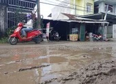 'Nhà thầu Trung Quốc thất hứa nhiều lần, không tin được'