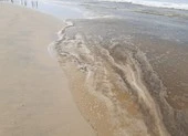 Vụ nước biển chuyển màu ở Quảng Ngãi: 1 mẫu pH vượt quy chuẩn