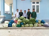 Người dân Tây Ninh gửi quà cho bộ đội biên phòng mùa COVID-19