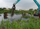 TP.HCM: Nhiều điểm 'đen' về rác được xử lý