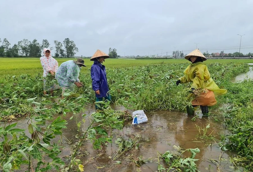 Các địa phương đã không chấp hành chế độ báo cáo tình hình triển khai thực hiện khắc phục hậu quả thiên tai và kết quả giải ngân nguồn kinh phí đã được phân bổ. Ảnh: TN