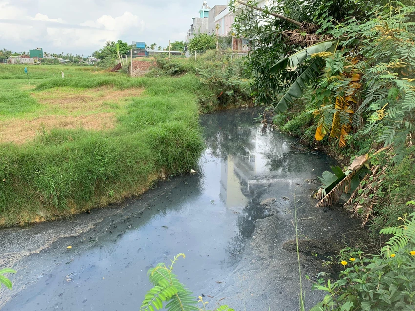 Nước sông đổi màu đục đen, có sủi bọt.