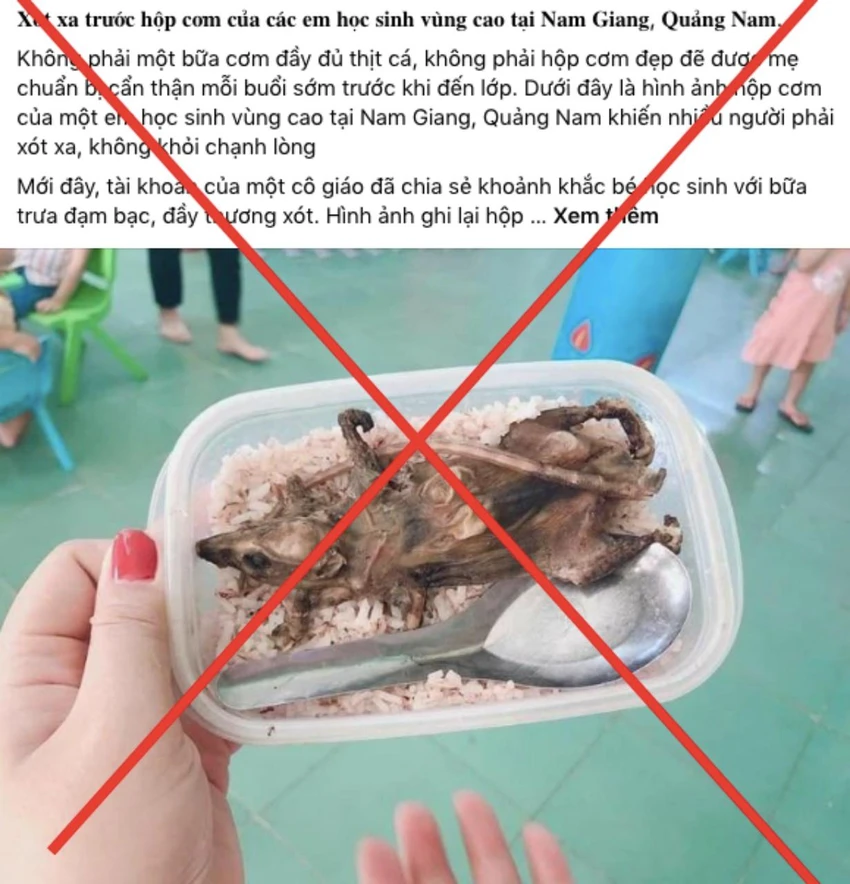Hình ảnh hộp cơm với món thịt chuột lan truyền trên mạng xã hội được cho là bữa ăn của học sinh vùng cao là không chính xác. Ảnh chụp màn hình.