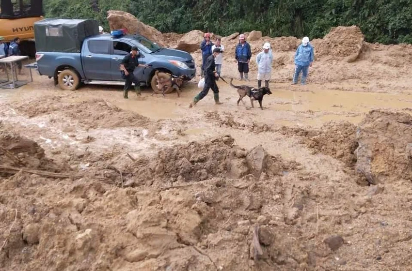 Chó nghiệp vụ được huy động đến hiện trường vụ sạt lở. Ảnh: TN Chó nghiệp vụ được huy động đến hiện trường vụ sạt lở. Ảnh: TN