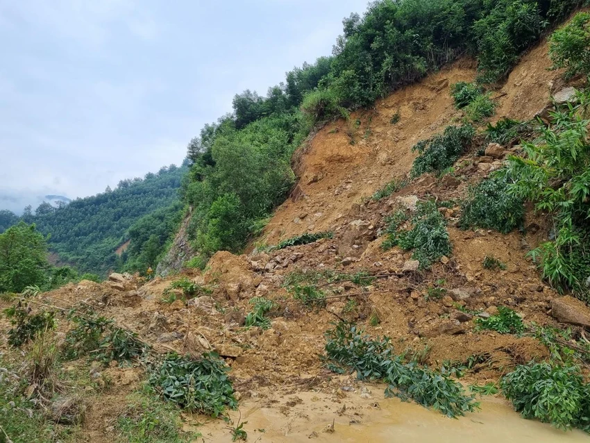 Điểm sạt lở rộng khoảng 30m, cao 15m. Ảnh: TN Điểm sạt lở rộng khoảng 30m, cao 15m. Ảnh: TN