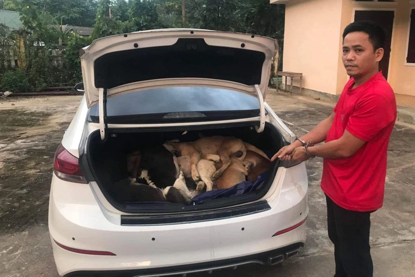 Ngô Bá Phát đi ô tô, trộm 38 con chó của người dân. Ảnh: FB Ngô Bá Phát đi ô tô, trộm 38 con chó của người dân. Ảnh: FB