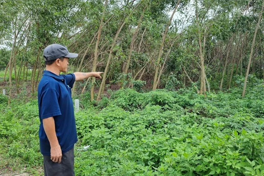 Một trong những lô đất ông Nhân lừa bán cho người dân. Ảnh: TN Một trong những lô đất ông Nhân lừa bán cho người dân. Ảnh: TN