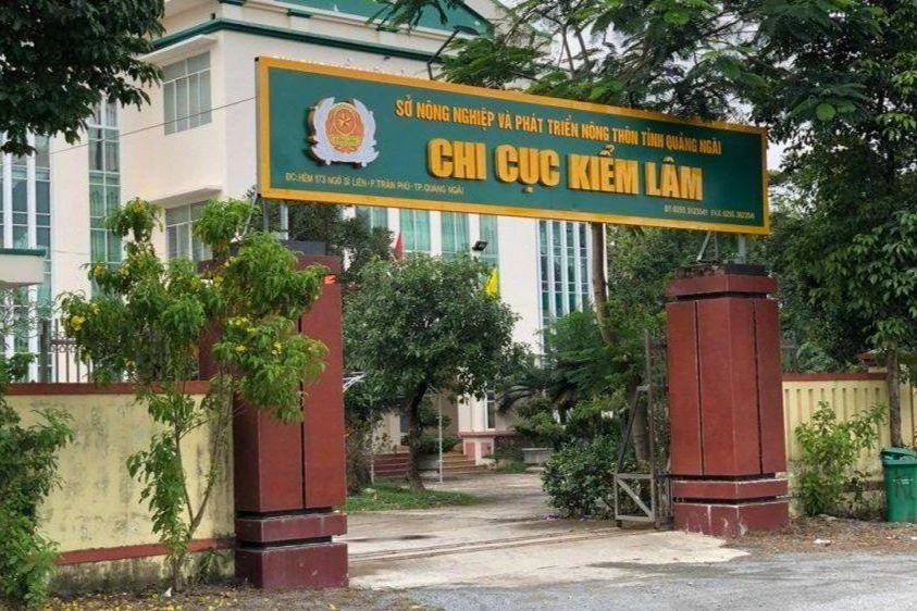 Thanh tra tỉnh Quảng Ngãi chỉ ra nhiều sai phạm tại Chi cục Kiểm lâm tỉnh này. Thanh tra tỉnh Quảng Ngãi chỉ ra nhiều sai phạm tại Chi cục Kiểm lâm tỉnh này.