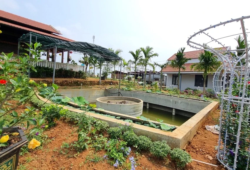 Trang trại của ông Lê Văn Ninh. Ảnh: TN Trang trại của ông Lê Văn Ninh. Ảnh: TN