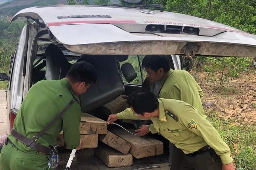 Công an huyện Sơn Tây liên tục phát hiện nhiều ô tô vô chủ, chở gỗ lậu trên địa bàn. Ảnh: CACC Công an huyện Sơn Tây liên tục phát hiện nhiều ô tô vô chủ, chở gỗ lậu trên địa bàn