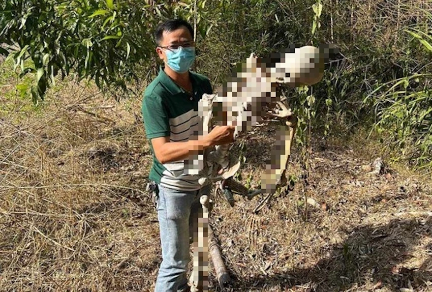 Công an đến kiểm tra thì xác định đây là bộ xương mô hình làm bằng nhựa. Ảnh: TN Công an đến kiểm tra thì xác định đây là bộ xương mô hình làm bằng nhựa. Ảnh: TN