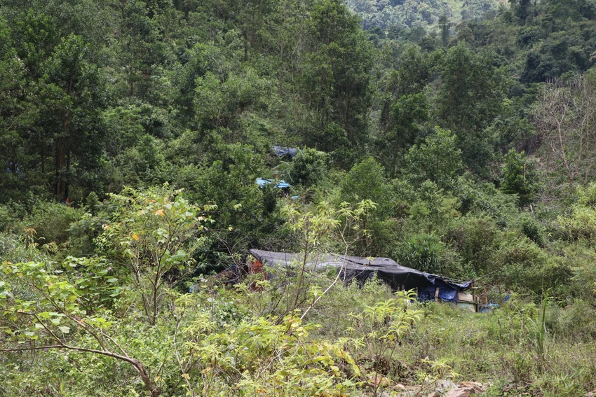 Nhiều lán trại khai thác vàng trái phép nằm sâu bên trong rừng. Ảnh: TN Nhiều lán trại khai thác vàng trái phép nằm sâu bên trong rừng. Ảnh: TN