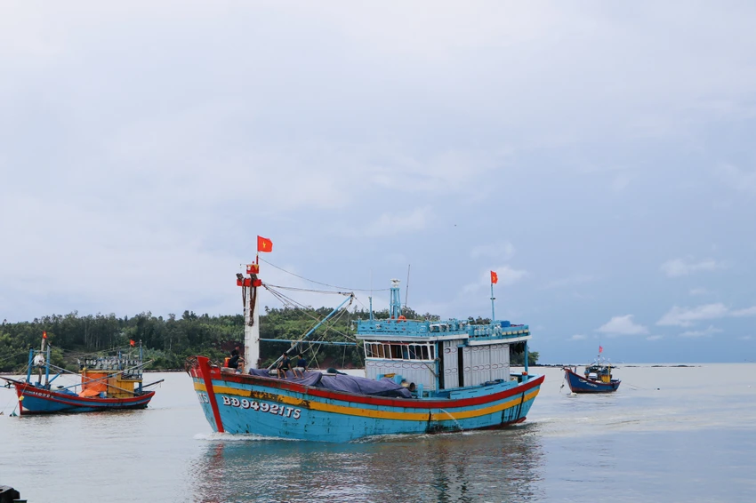 cam-khai-thac-thuy-san-Quang-Ngai-2.jpg