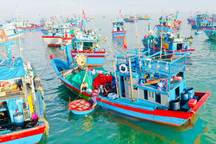cam-khai-thac-thuy-san-Quang-Ngai-3.jpg