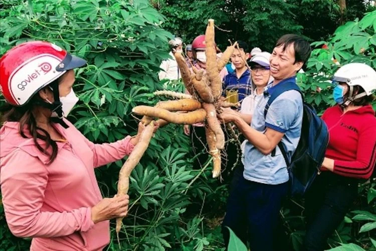 so-khoa-hoc-va-cong-nghe-4.jpg
