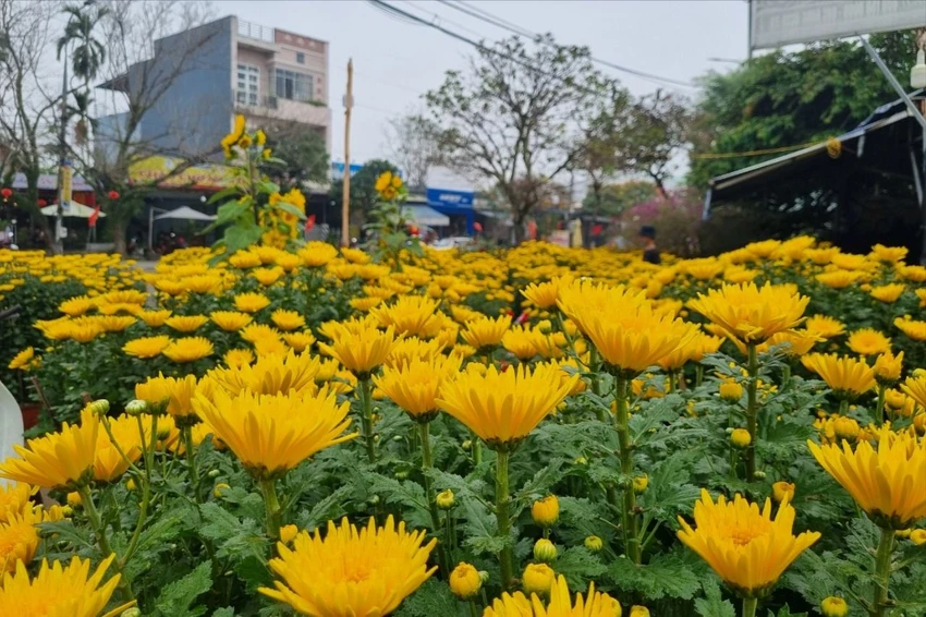 e-ma-chua-tung-co-nguoi-ban-hoa-lo-mat-tet-13.jpeg