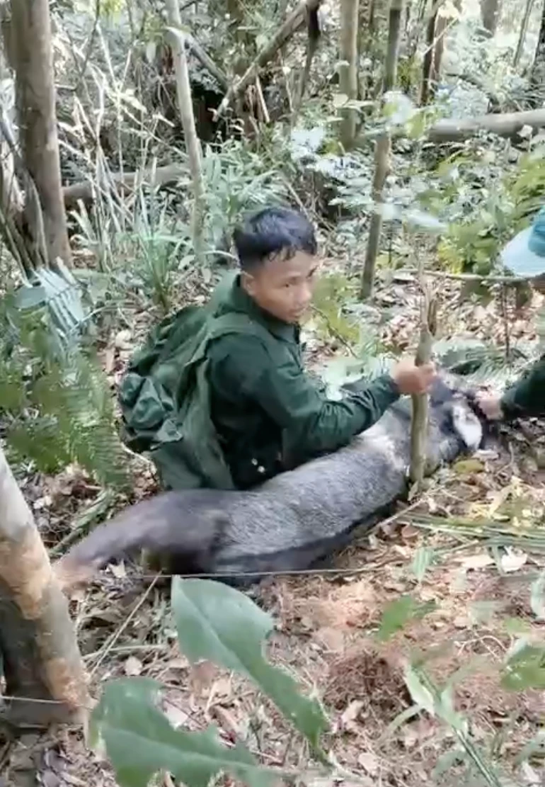 giai-cuu-ca-the-son-duong-quy-hiem-dinh-bay-2.png