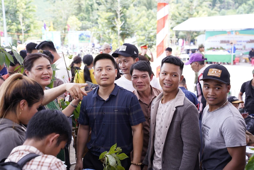 dac-diem-nhan-dang-sam-ngoc-linh-2.jpeg