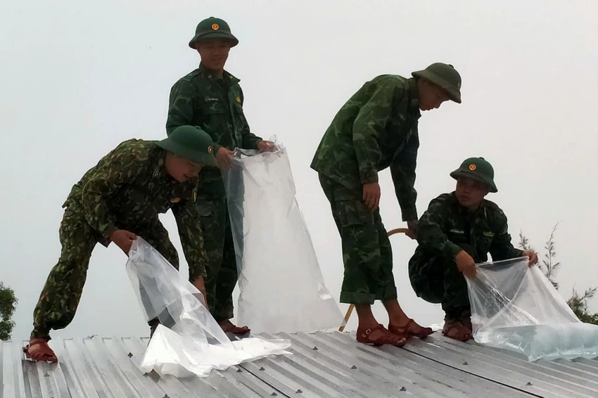 bo-doi-giup-dan-chang-nha-chong-bao-Tra-mi-9.jpeg