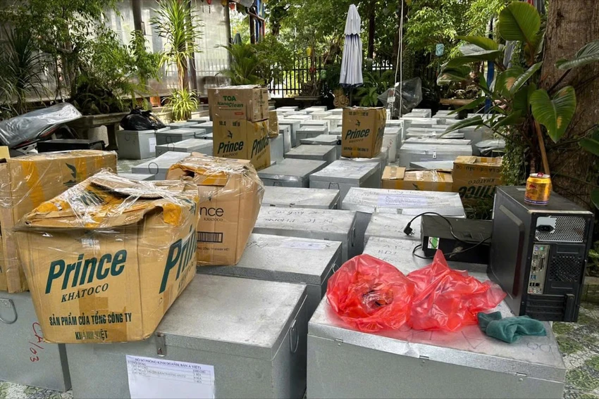 bat-nguyen-tong-giam-doc-cong-ty-CP-Bach-Dat-An-Hoang-thi-kim-chau-3.jpeg