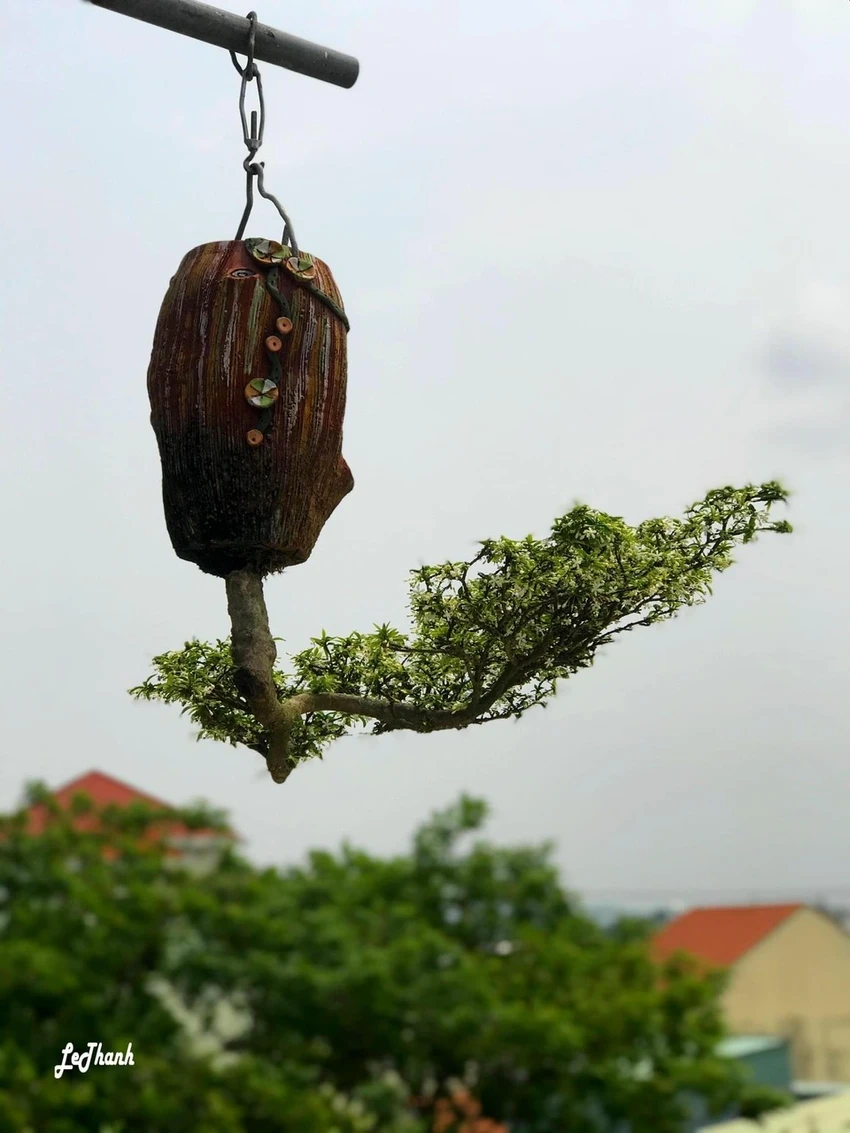 di-nhan-xu-Quang-voi-gian-bonsai-nguoc-nuc-tieng-52.jpeg