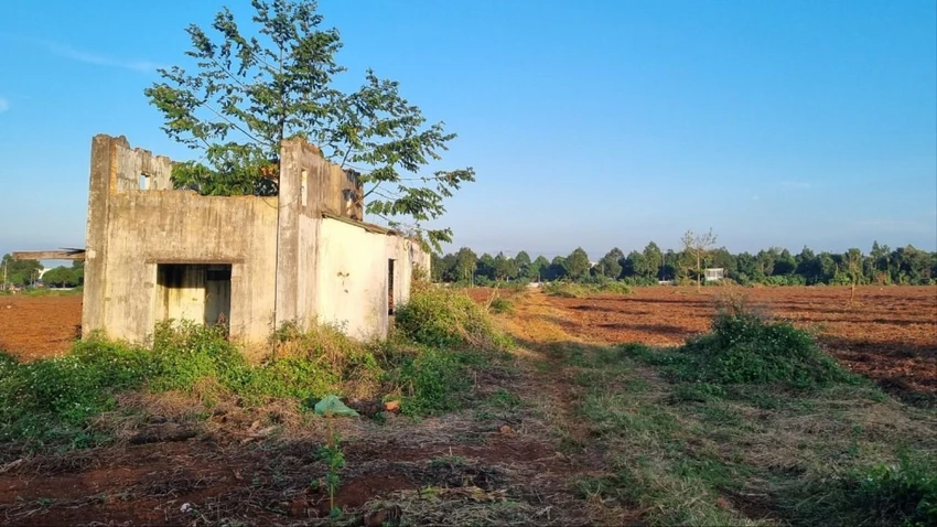 thi hành án 1.jpg