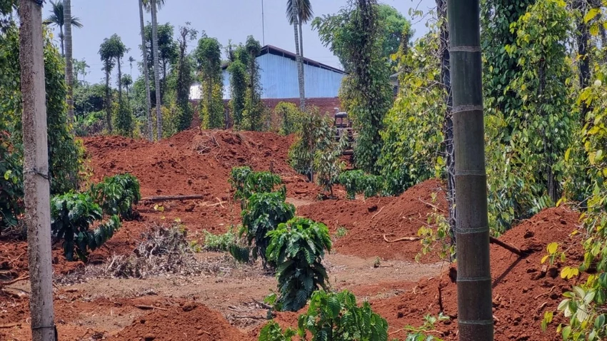 cao tốc 1.jpg