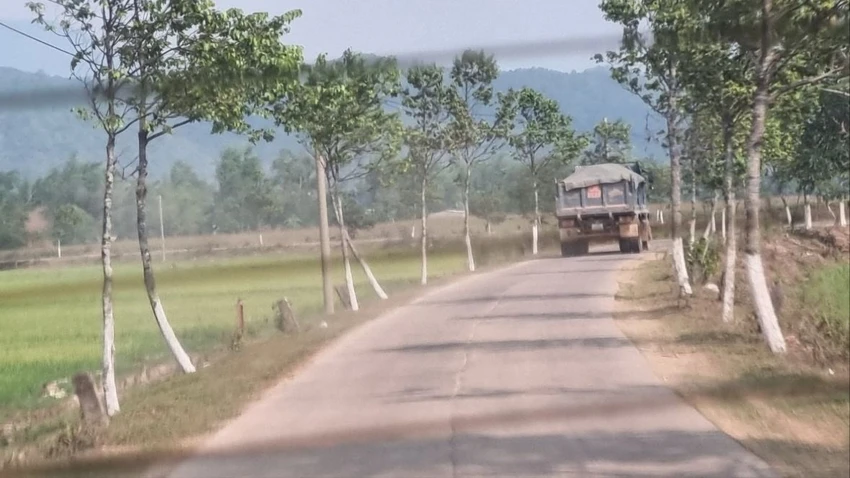 đất rừng 2.jpg
