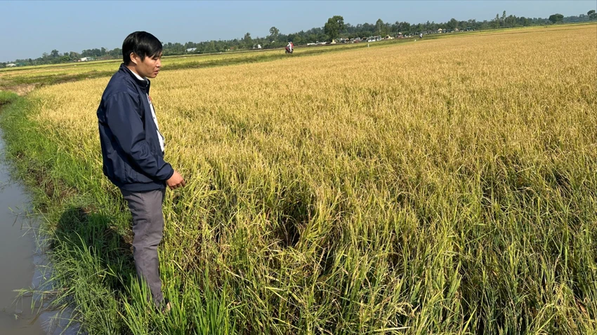 mưa đá.jpg