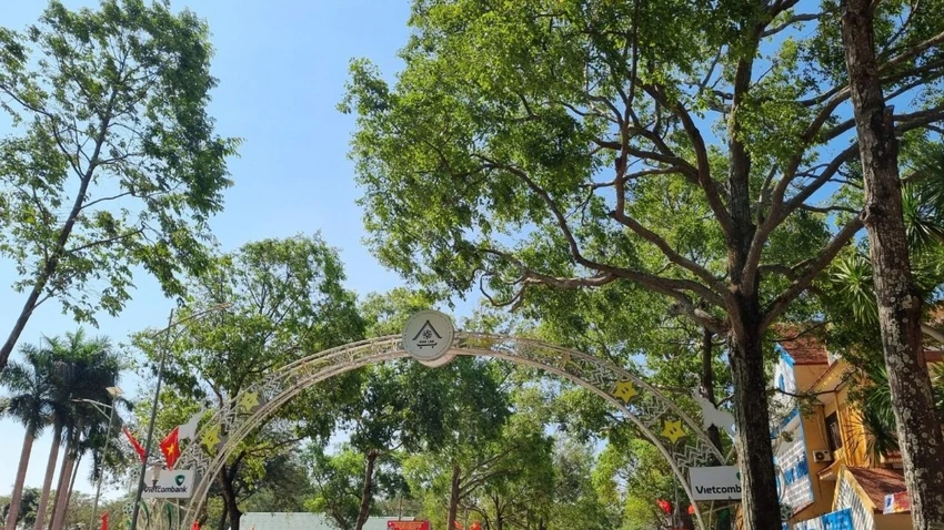 CÂY XANH 2.jpg