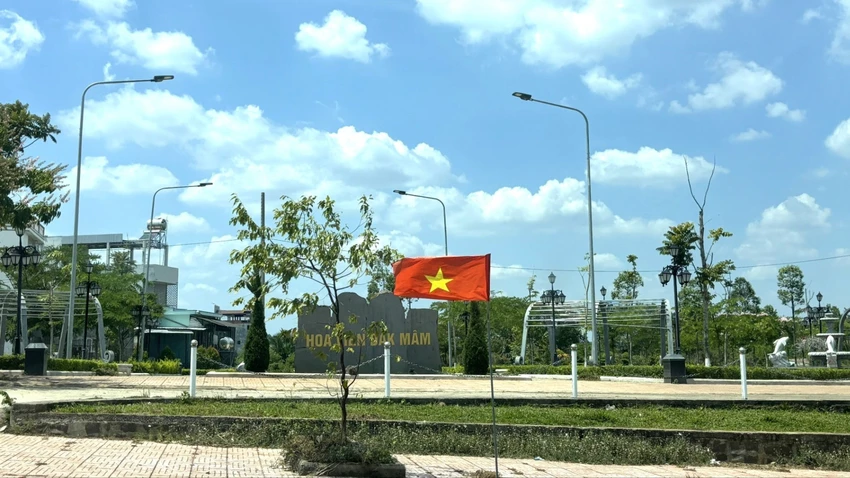 công ty cây xanh công minh.jpg