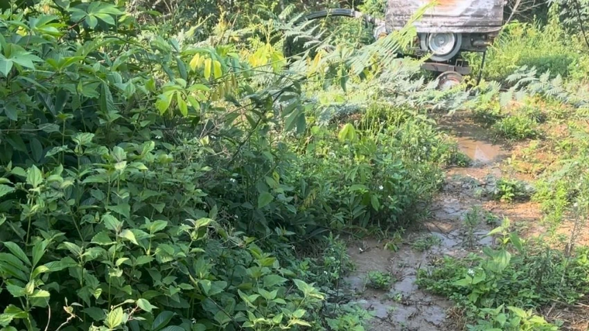 trại heo 1.jpg