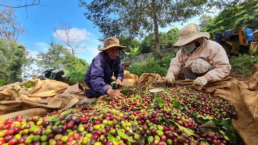 Buôn Ma Thuột 2.jpg