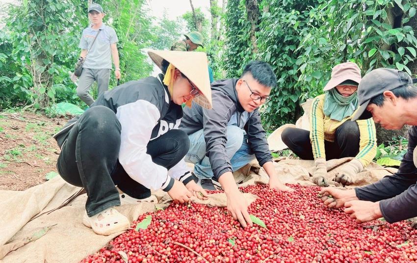 Buôn Ma Thuột 5.jpg