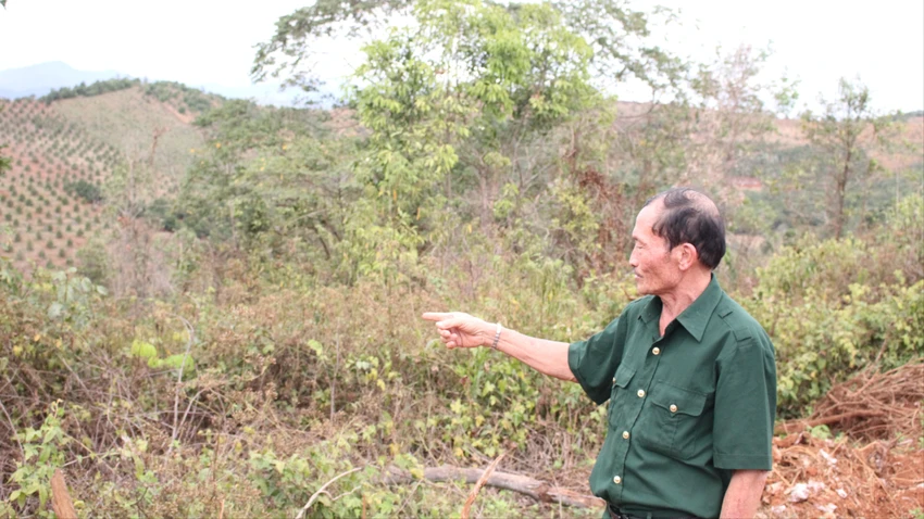 Cựu chiến binh 20.JPG